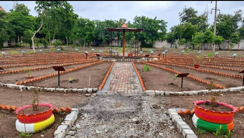 Botanical garden - Image 1