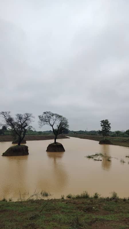 DeepSavi River End picnic spot - Image 1