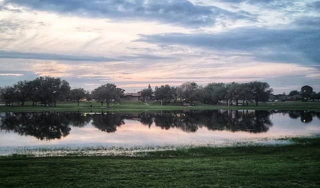 Wetland Park - Image 1