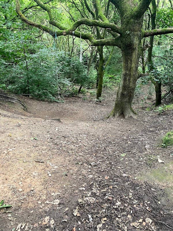 Gardner Mount - Image 1