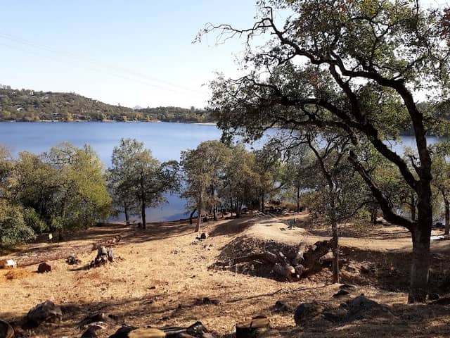 Dog Beach Park - Image 2