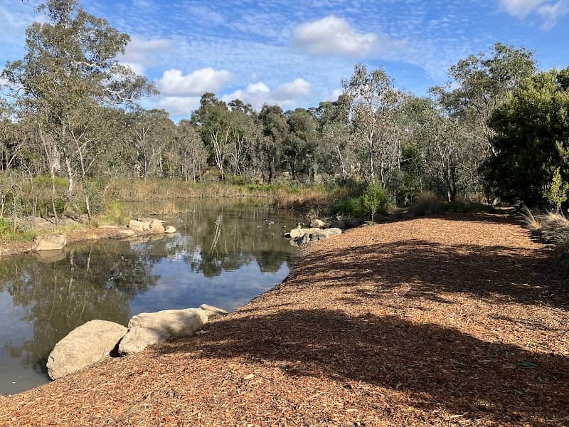 Yangoora Wells Wetland - Image 1