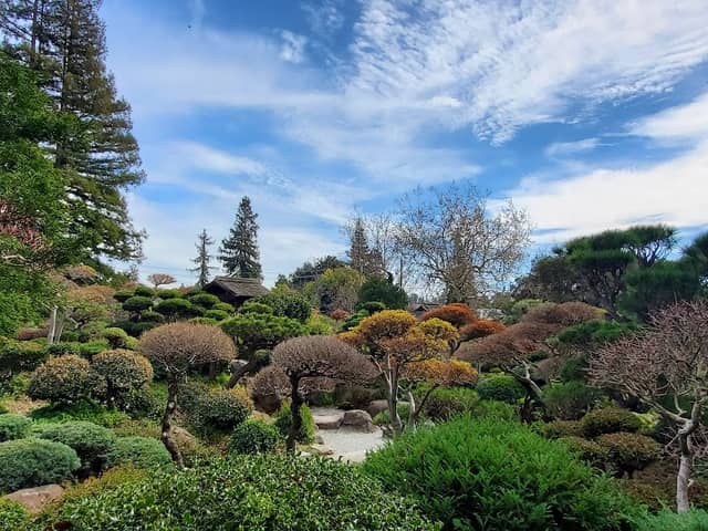 Japanese Gardens - Image 2