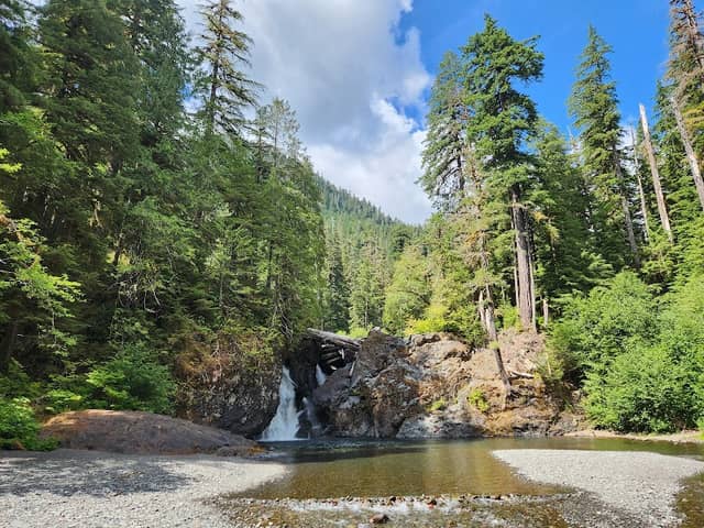 Wynoochee Falls - Image 1