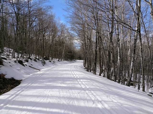 Jackson Ski Touring Foundation Nordic Ski Area - Image 3