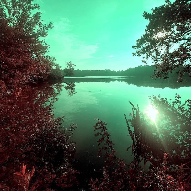 Grant Lake Wildlife Area - Image 2