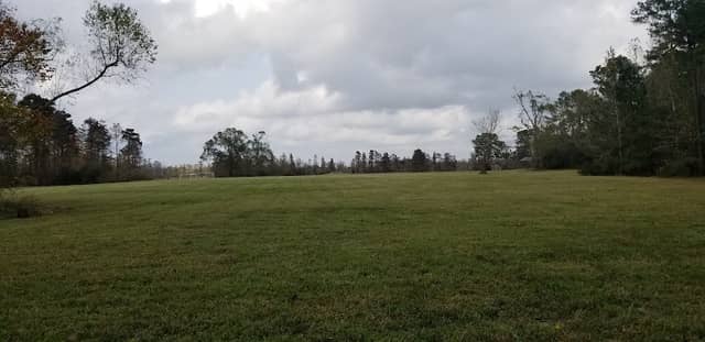 Joe Hopkins Memorial Park - Image 1