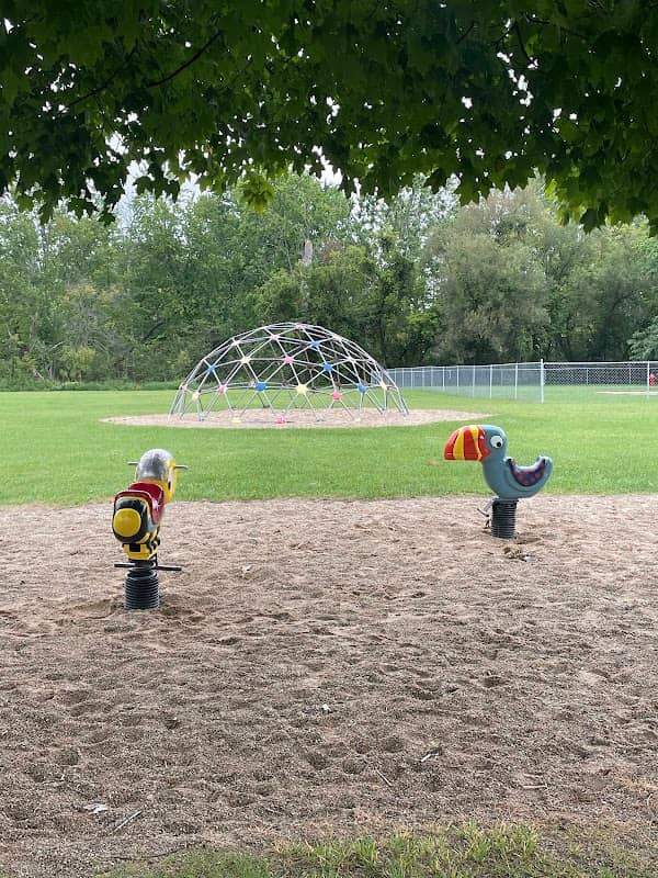 Cedar Springs Dog Park (in Riggle Park) - Image 1