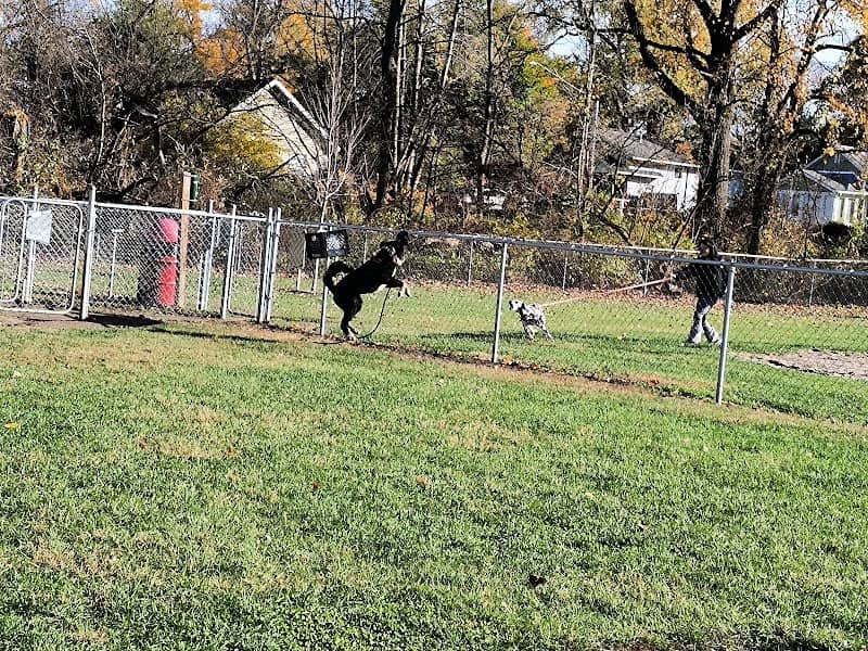 Cedar Springs Dog Park (in Riggle Park) - Image 2