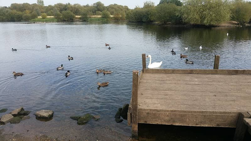 Tameside Local Nature Reserve - Image 2