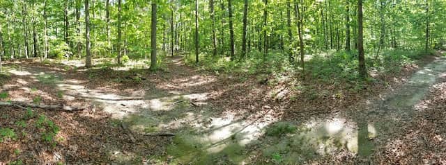 Trail Junction - Image 2