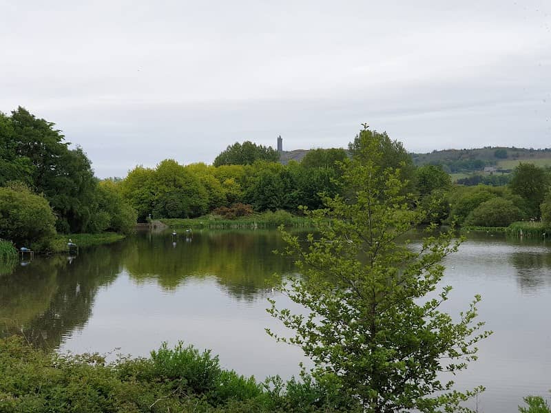 Kiltonga Nature Reserve - Image 1