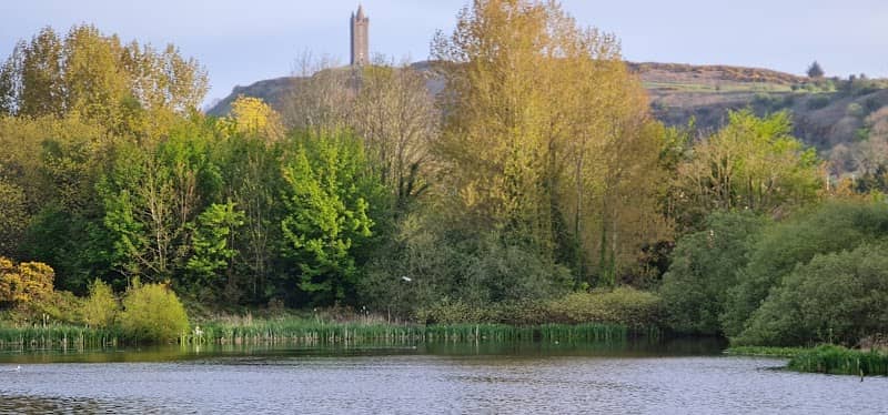 Kiltonga Nature Reserve - Image 2