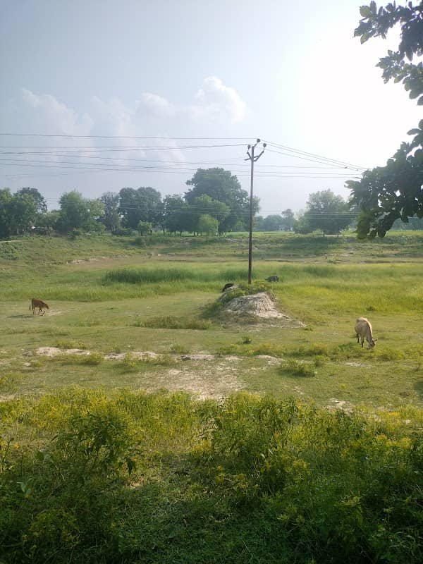 Umariya Talab - Image 1