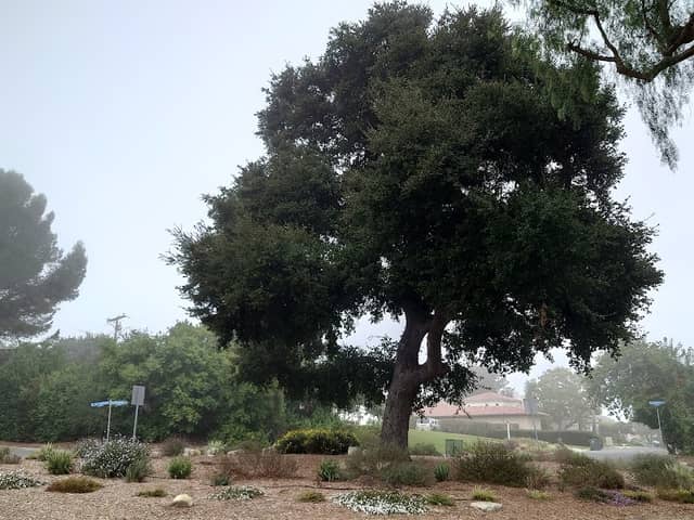 Harrington Circle - Image 2