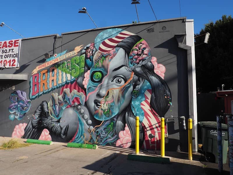 America Needs Brains Mural - Image 1