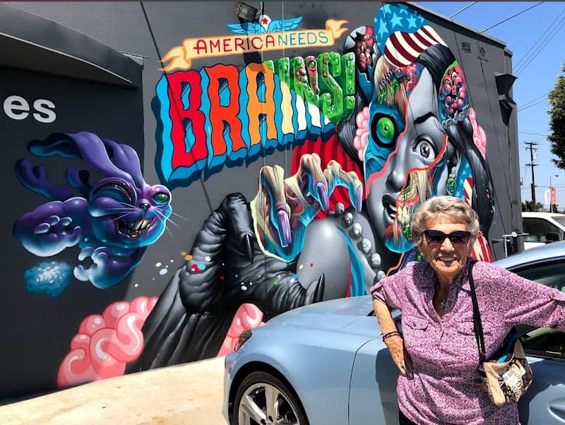 America Needs Brains Mural - Image 2