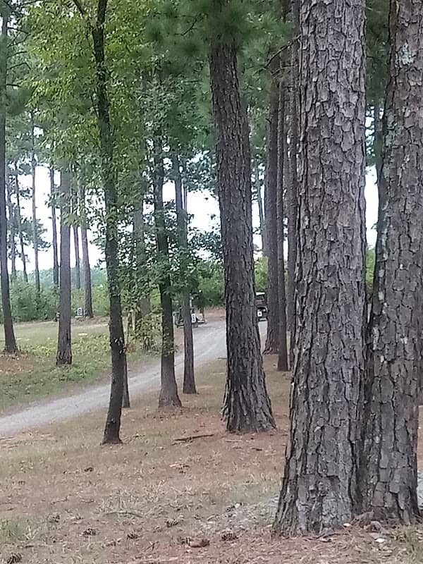 Claystone beach parking - Image 1