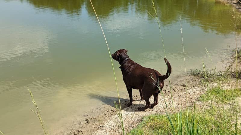 Abbeville Parks & Recreation - Image 1