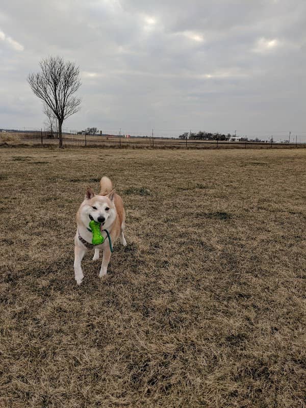 Woof Run Dog Park - Image 1