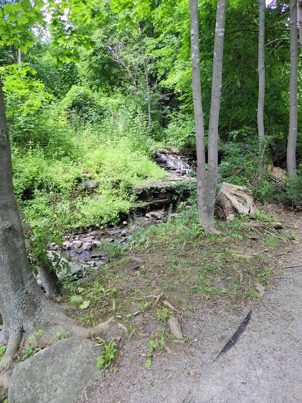 Ferguson Park - Image 2