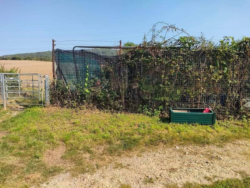Wouldham Allotments - Image 1