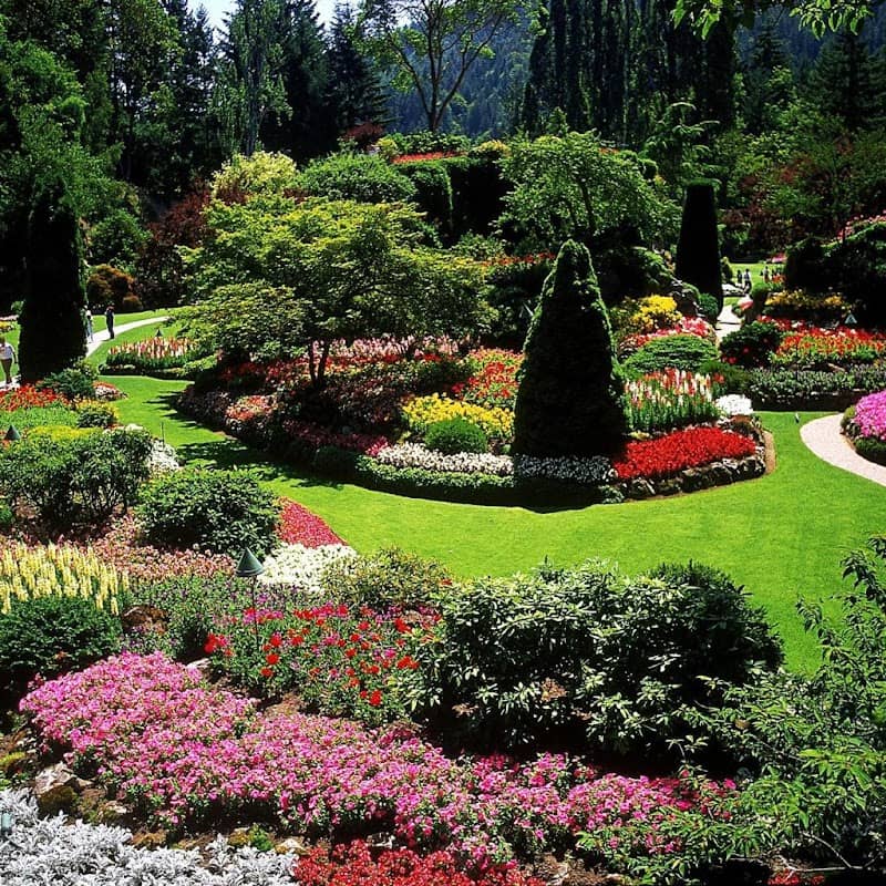 Victor's lawn and landscape - Image 1