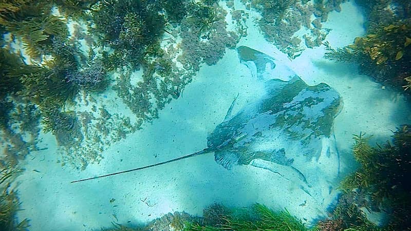 Turtle Cove - Image 2