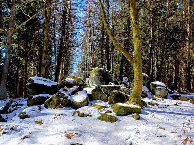 Säulengruppe - Image 2