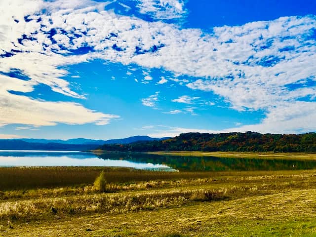 Lake Mendocino - Image 3