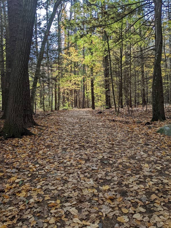 College Woods - Image 3
