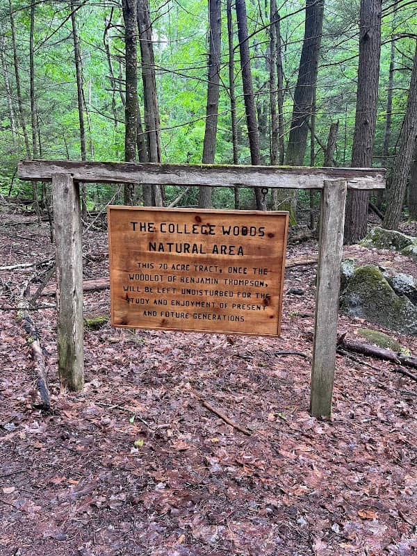 College Woods - Image 1