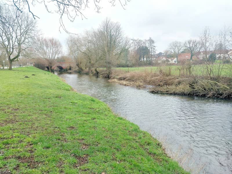 Bawburgh Mill Pool Green - Image 2