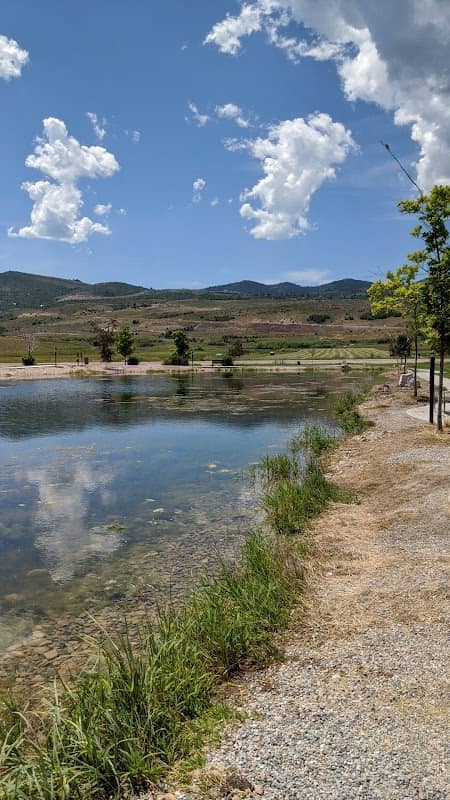 Garden City Pond - Image 1
