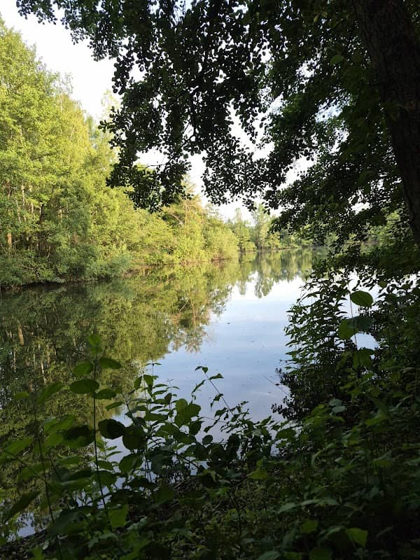 Oberwasen Nature Reserve - Image 2