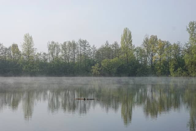 Oberwasen Nature Reserve - Image 1