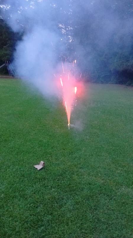 Josey Park - Image 2