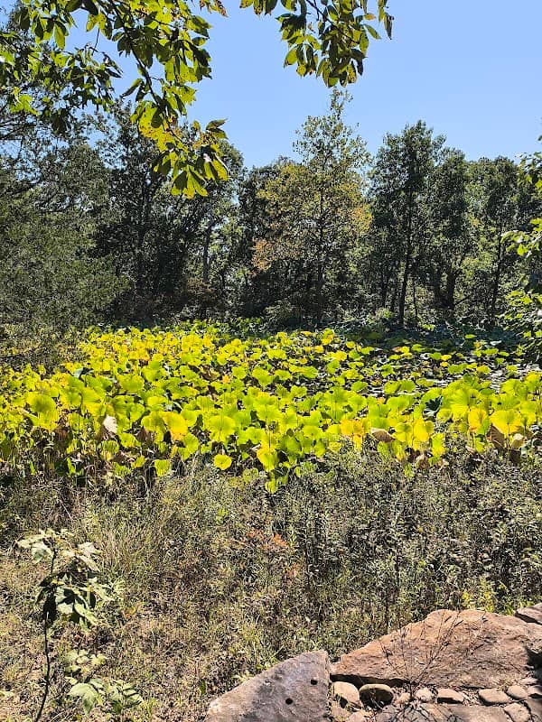 Prairie Garden Trust - Image 2