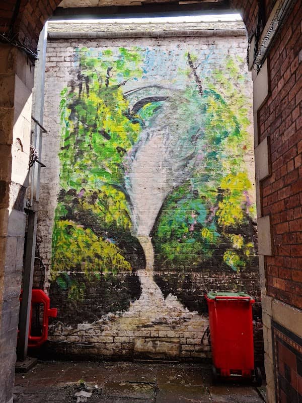 Carlisle Street Art Tour #11 - Aira Force - Image 1