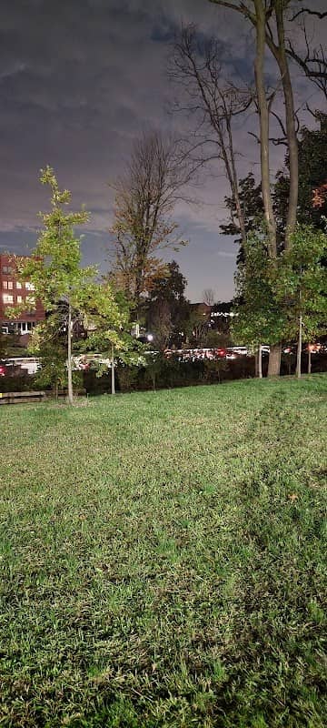 Migui Park - Image 2