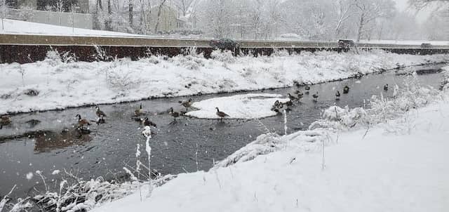 Migui Park - Image 1