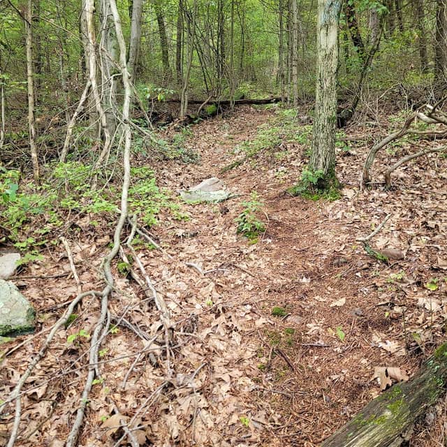 Kettle Hole Trail, Nittany Mtn. Road - Image 1