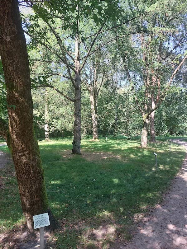 Norderstedter Arboretum - Image 1