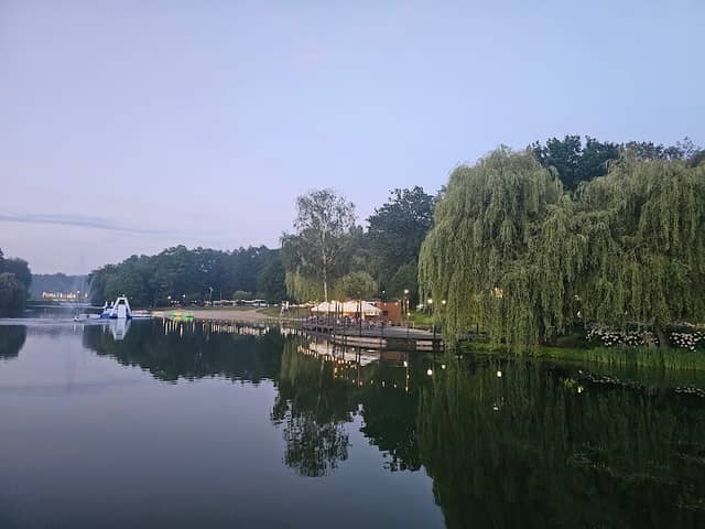 Poniatowa staw Strażacki, stare dęby - Image 1