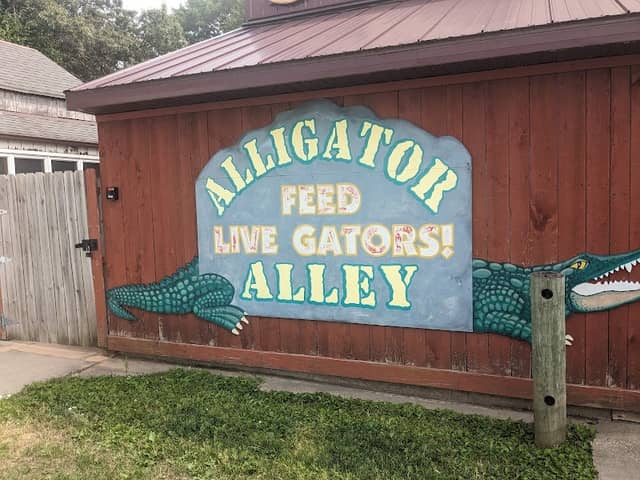 Alligator Alley Adventures - Image 1