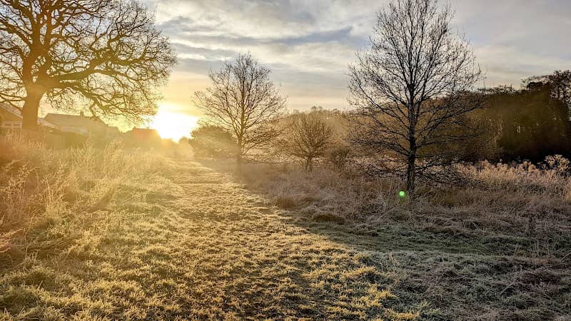 Scarning Fen - Image 2