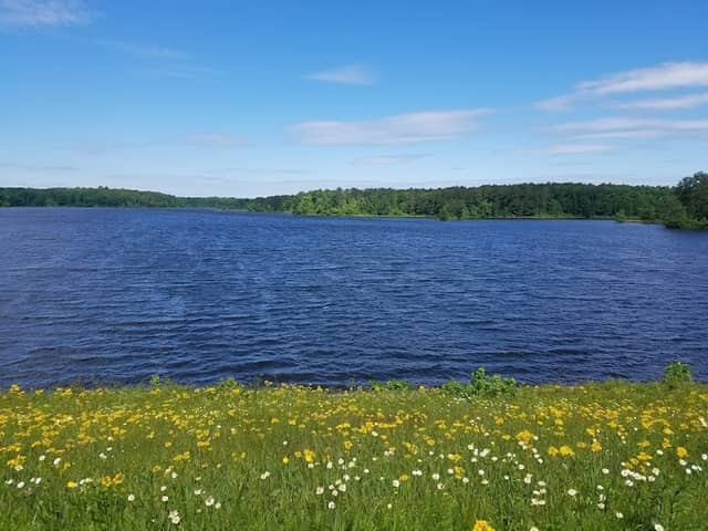 St. Mary's River State Park - Image 1