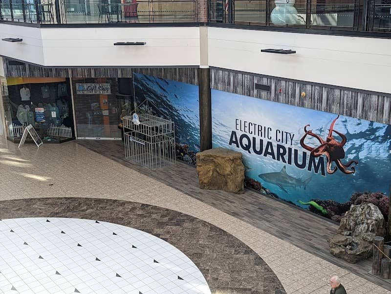 Electric City Aquarium & Reptile Den - Image 1