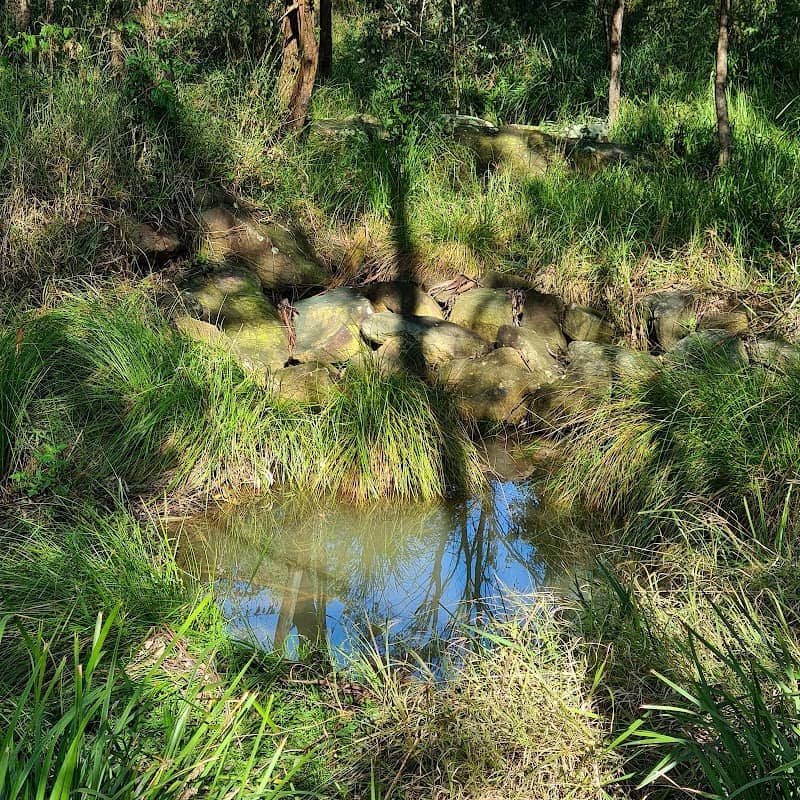 Deerubbin Drive Reserve - Image 2