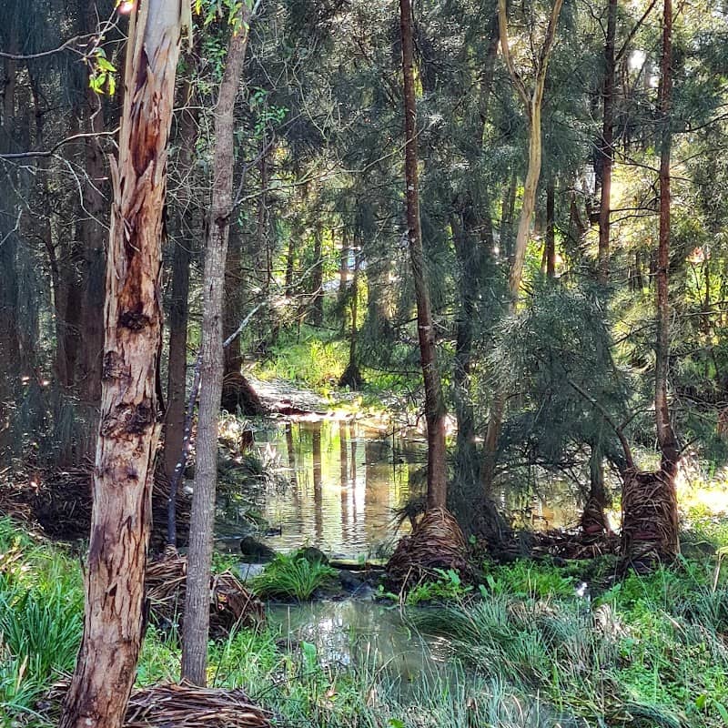 Deerubbin Drive Reserve - Image 1